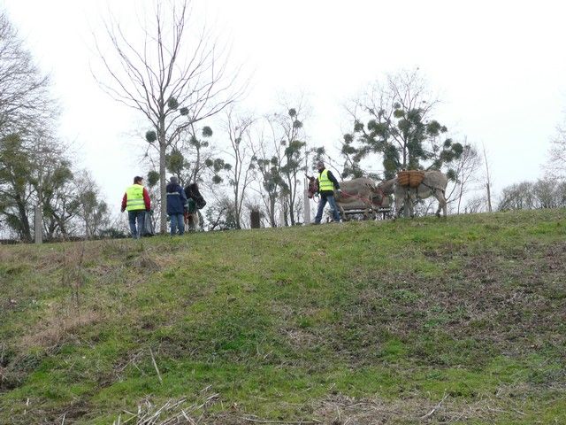 Loire propre 2013 (8).jpg